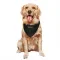 Black Washington Commanders K.J. Osborn   Service Dog & Cat Pet Bandana