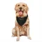 Black Washington Commanders Viliami Fehoko Jr.   Service Dog & Cat Pet Bandana